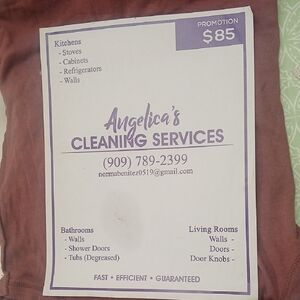 Cleaning Services